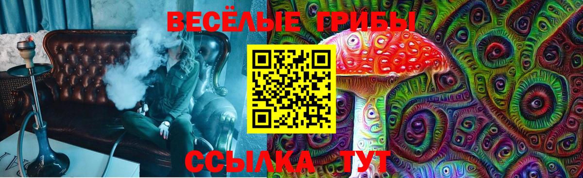 Галлюциногенные грибы MAGIC MUSHROOMS  Галлюциногенные грибы Psilocybe  купить наркотики сайты  Богородицк 