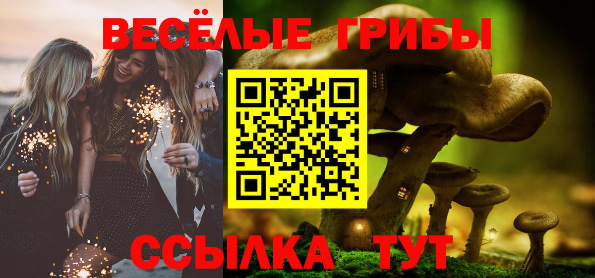 Псилоцибиновые грибы ЛСД  Вход с VPN  Богородицк  Псилоцибиновые грибы Magic Shrooms 