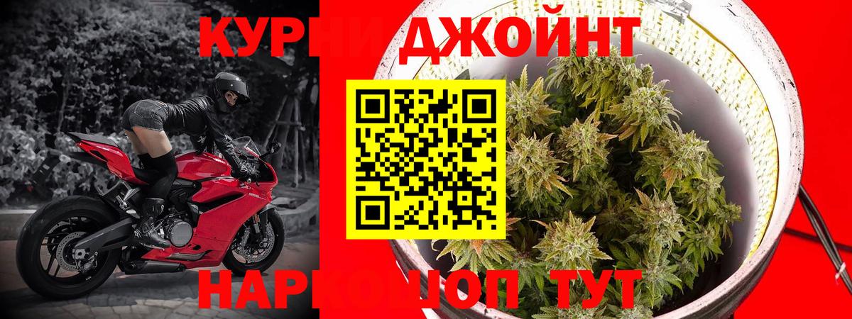 Канабис Bruce Banner  Вход с VPN  Богородицк  Бошки Шишки LSD WEED  Канабис White Widow 